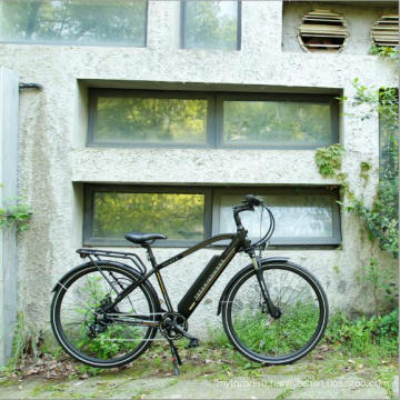 Горячая Распродажа дешевые город 36V250W электрический велосипед,Бафан задней середине привод электрический велосипед,зеленый мощность e велосипед